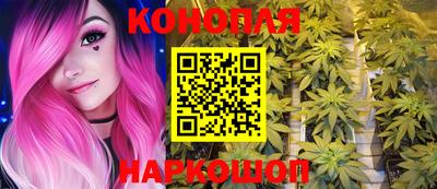 сатива Гай