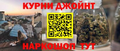 сатива Гай