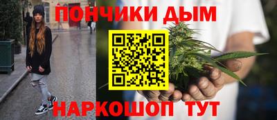 сатива Гай