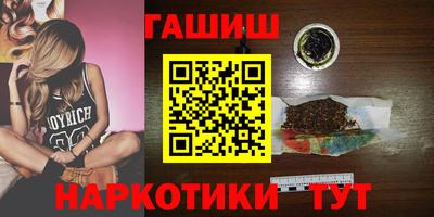сатива Гай