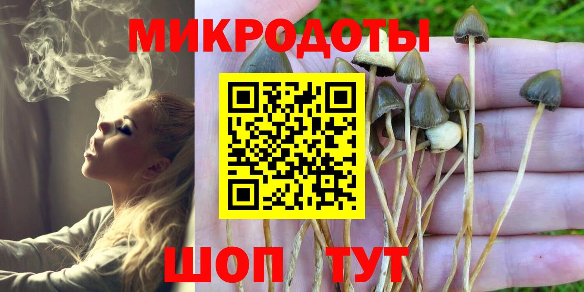 Донской  Псилоцибиновые грибы Psilocybine cubensis  магазин продажи   Вход с VPN 